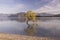 Famous lonely Willow tree in Lake Wanaka, New Zealand