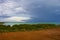 Famous Mangrove Point, Broome, Western Australia in Summer.