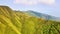 Famous Matcha (Green Tea) Mountain, Shengmu Hiking Trail (Marian Hiking Trail),