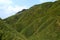 Famous Matcha Green Tea Mountain, Shengmu Hiking Trail Marian Hiking Trail, Jiaoxi, Yilan