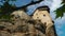 Famous Meteora monasteries over the rock
