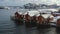 Famous multicolored wooden fishing houses rorbu on a sea shore