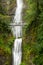 Famous Multnomah falls in Columbia river gorge, Oregon