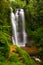 A famous Munduk Waterfall in a tropical jungle island of Bali, Indonesia