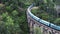 Famous Nine-Arch Bridge in Ella, Srilanka.