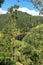 The famous nine-arch bridge of the railway in the jungle in Sri Lanka