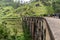 The famous nine-arch bridge of the railway in the jungle in Sri Lanka