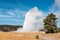 Famous Old Faithful geyser erupting, Yellowstone National Park