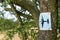 Famous Pathfinder aircraft sign seen attached to a tree.