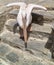 The famous Pelican of Mykonos island, Greece