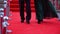 Famous people are walking on the red carpet, close up