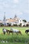 Famous pilgrimage Church El Rocio and wild horses