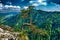 Famous pine on Sokolica peak and Dunajec river in southern Poland.