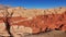 The famous red rocks and beige sandstones at red Rock Canyon