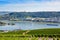 Famous Rheingau vineyards region in late summer in Germany, green hills on sunny day. Famous vineyard region near Mosel