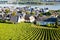 Famous Rheingau vineyards region in late summer in Germany, green hills on sunny day. Famous vineyard region. View on