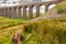 Famous Ribble Valley viaduct railway crossing seen from a nearby hill.