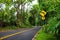 Famous Road to Hana fraught with narrow one-lane bridges, hairpin turns and incredible island views, Maui, Hawaii