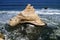 The famous rock formation La Catedral arch or the Cathedral, which partially destroyed during the 2007 earthquake, Paracas, Peru