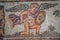 Famous roman Paphos Mosaics, Cyprus