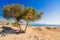 Famous sandy beach of Falasarna at the north west of Chania, Crete.