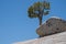 Famous single, lone tree on Olmstead Point in Yosemite National Park on a sunny summer day