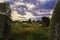 Famous Standing Stones at Carnac in the Morbihan Department in Brittany in North-western France.