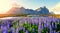 Famous Stokksnes mountains on Vestrahorn cape