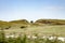 The famous Sycamore Gap tree on Hadrians Wall from a distance