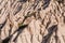 The famous tourist Pasabag Monks Valley . panoramic view. Cappadocia, Turkey