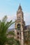 Famous town hall munich Marienplatz, palm plant in front