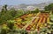 Famous Tropical Botanical Gardens in Funchal