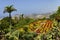 Famous Tropical Botanical Gardens in Funchal