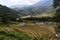 Famous Vietnamese rice terrace fields in the valley between mountains