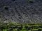 Famous vineyards of La Geria on volcanic soil Lanzarote Island