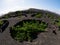 Famous vineyards of La Geria on volcanic soil Lanzarote Island