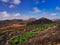 Famous vineyards of La Geria on volcanic soil in Lanzarote, Spain