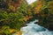 The famous Vintgar gorge Canyon, Bled,Triglav,Slovenia,Europe