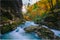 The famous Vintgar gorge Canyon with wooden pats,Bled,Triglav,Slovenia,Europe