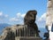 Famous wild Barbary macaques family that are relaxing in Gibraltar Rock