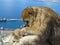 Famous wild Barbary macaques family that are relaxing in Gibraltar Rock