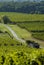 Famous wine route in Bordeaux vineyards, Aquitaine