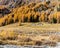 The famouse Roseg Valley in the golden autumn season