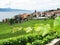 Famouse vineyards in Lavaux