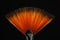 Fan shaped paintbrush. Artistic flat fan brush with orange hairs against a black background