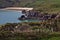 Fanad Peninsula between Lough Swilly and Mulroy Bay, County Donegal, Ireland