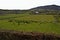 Fanad Peninsula between Lough Swilly and Mulroy Bay, County Donegal, Ireland