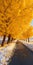 Fanciful Yellow Tree On Snowy Road - Uhd Image By Qian Xuan