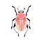 Fancy beetle. Fantasy bug with legs, top view. Insect, fauna species with stripes on wings, small animal from above