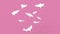 Fancy carp Groups Swimming Drawing and Pink Background / art work Concept /